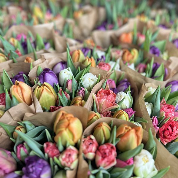 Blumen und Schnittgrün